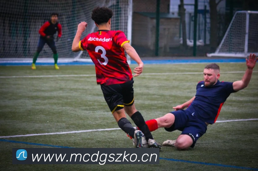 星空官方网站平台平台生态图